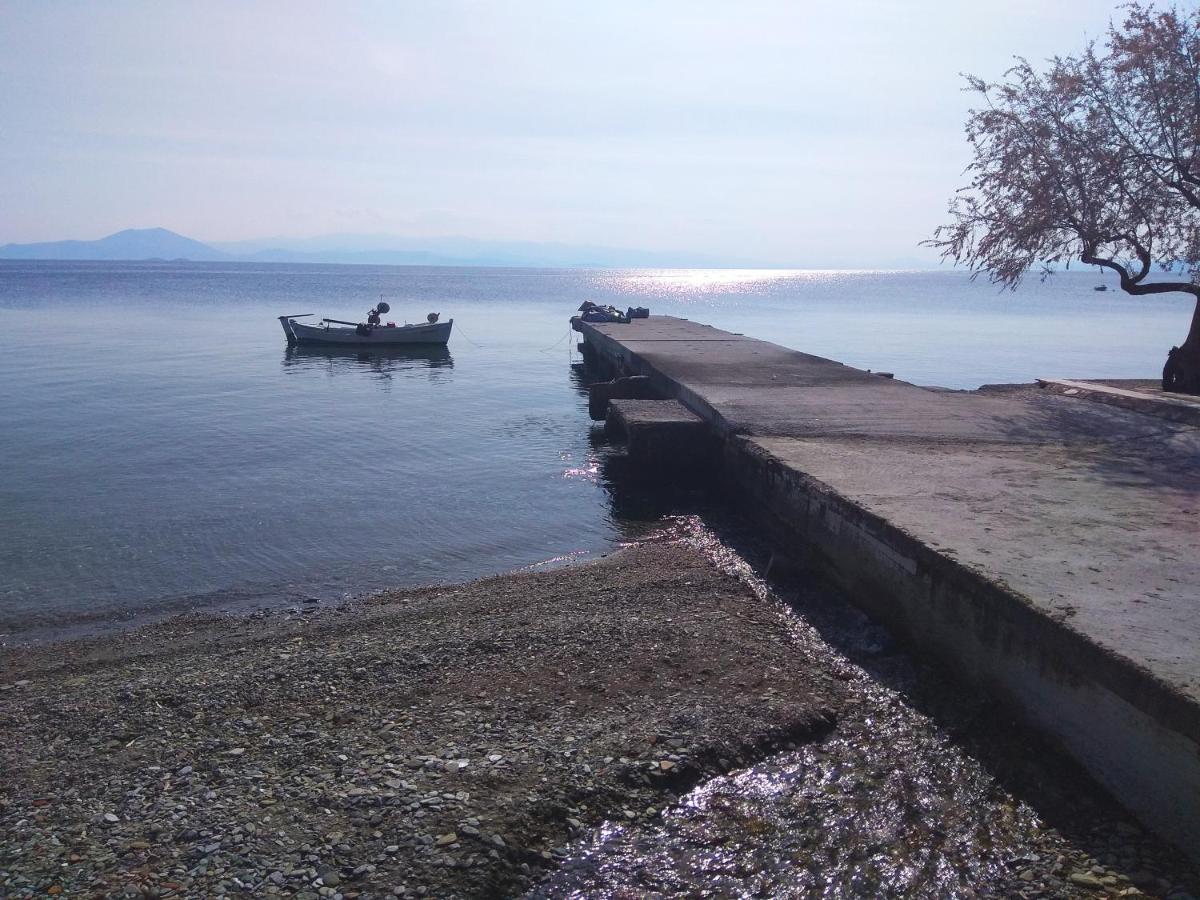 Marina Traditional Stonehouse Afétai Dış mekan fotoğraf
