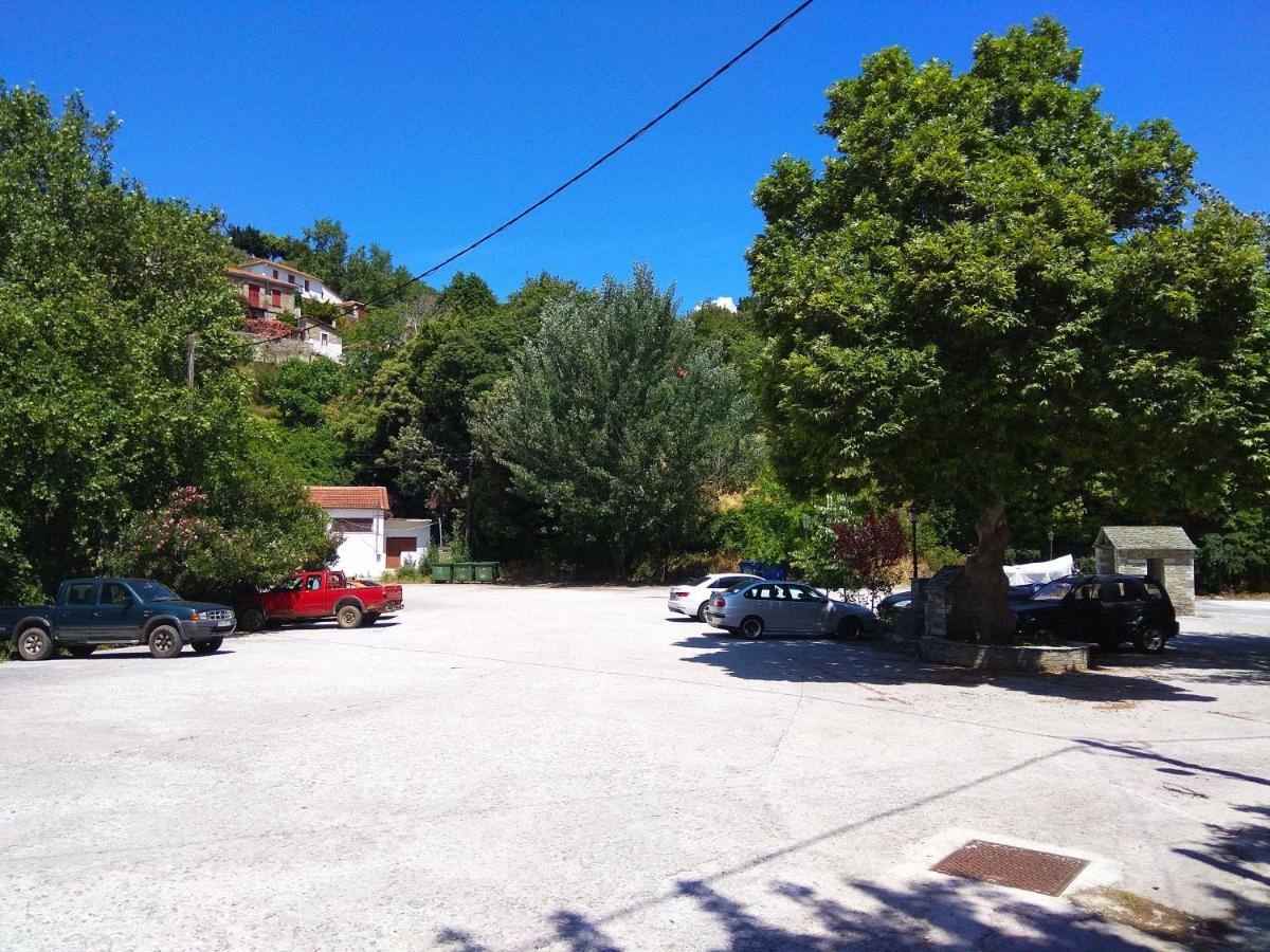 Marina Traditional Stonehouse Afétai Dış mekan fotoğraf
