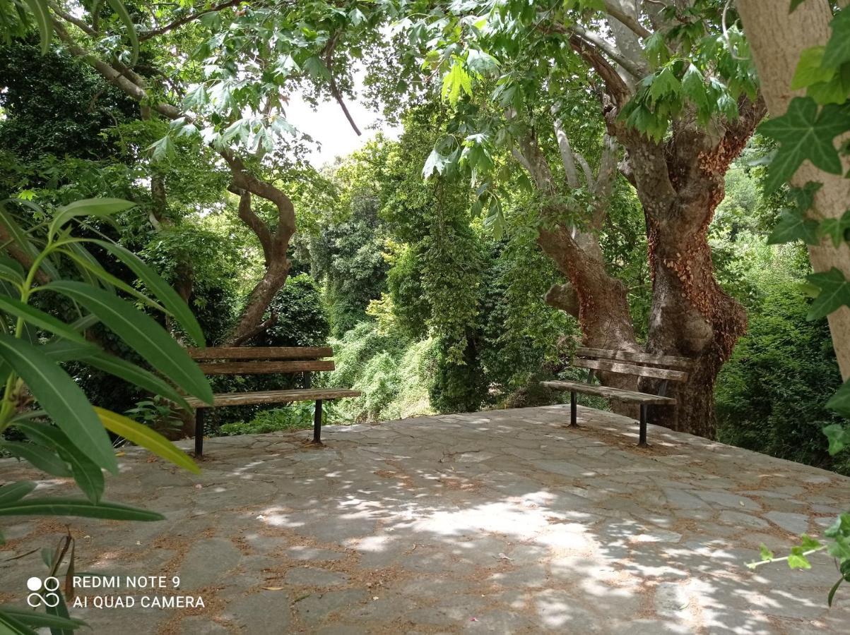 Marina Traditional Stonehouse Afétai Dış mekan fotoğraf